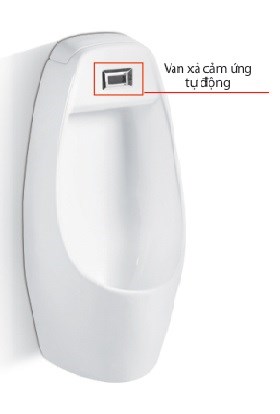 Tiểu nam Kassani 6602